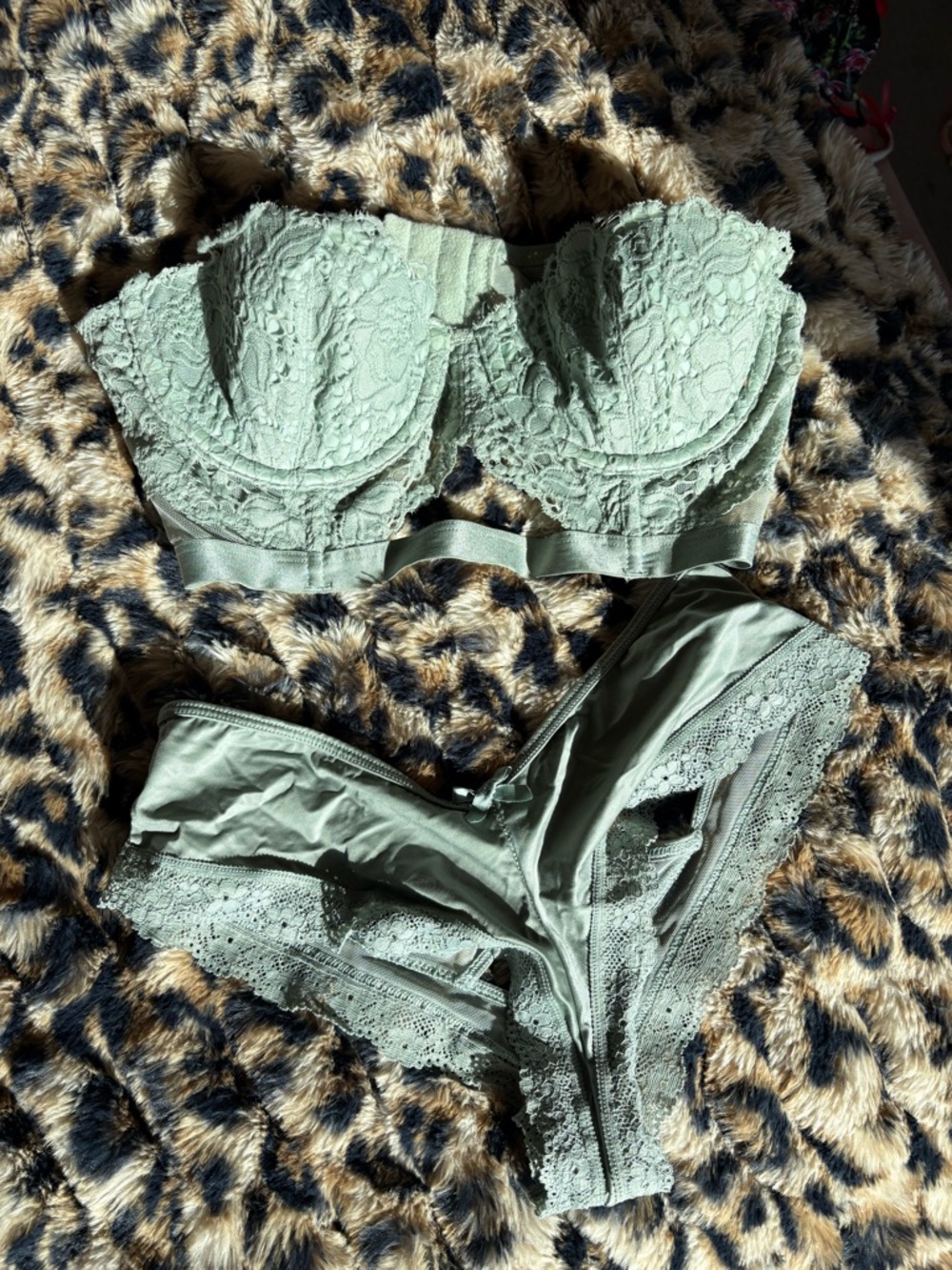 Victoria's Secret Lace Balconette Bra and Bikini Set in Sage